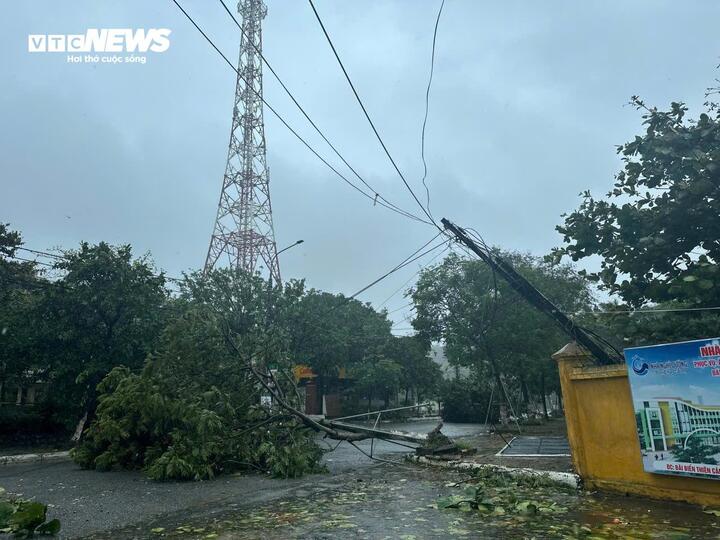 Không chỉ cây xanh gãy đổ, nhiều trụ điện cũng bị gió lớn công phá nằm ngả nghiêng.