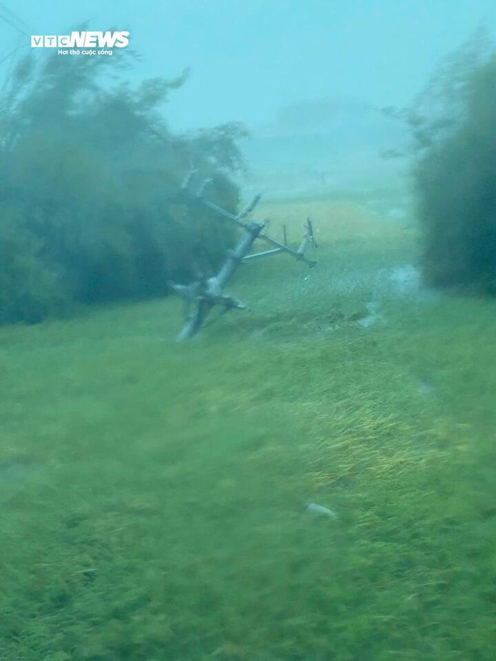 Một số cột điện bị kéo đổ do gió giật mạnh.